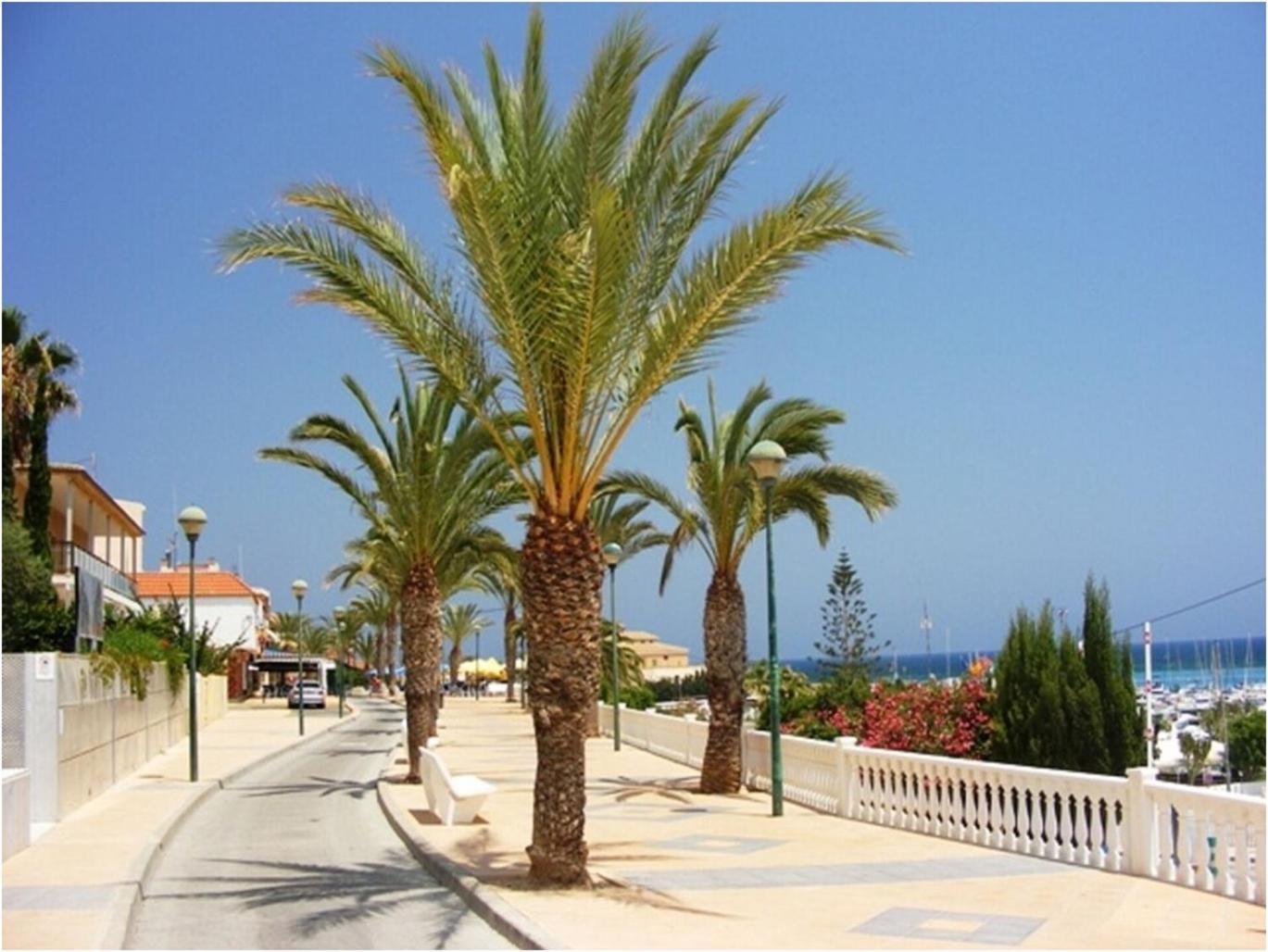 Torre De La Horadada - Modern And Comfortable 2 Bedroom Apartment Close To The Beach Torre de la Horadada Exterior foto